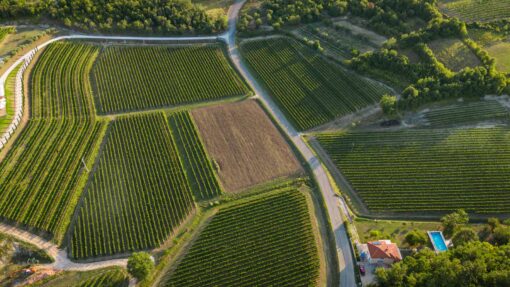 Epic Rides Buje Istra