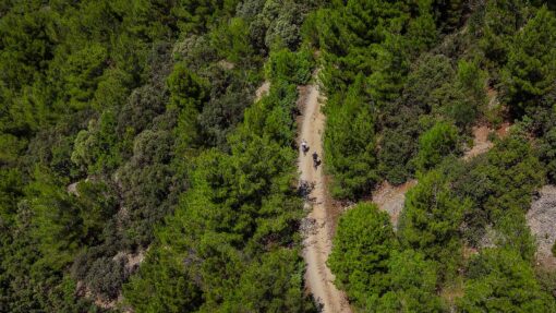 Epic Rides Cres