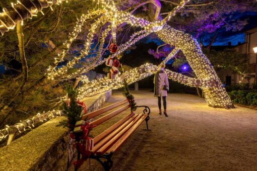 Advent Krk - TZ Grada Krka